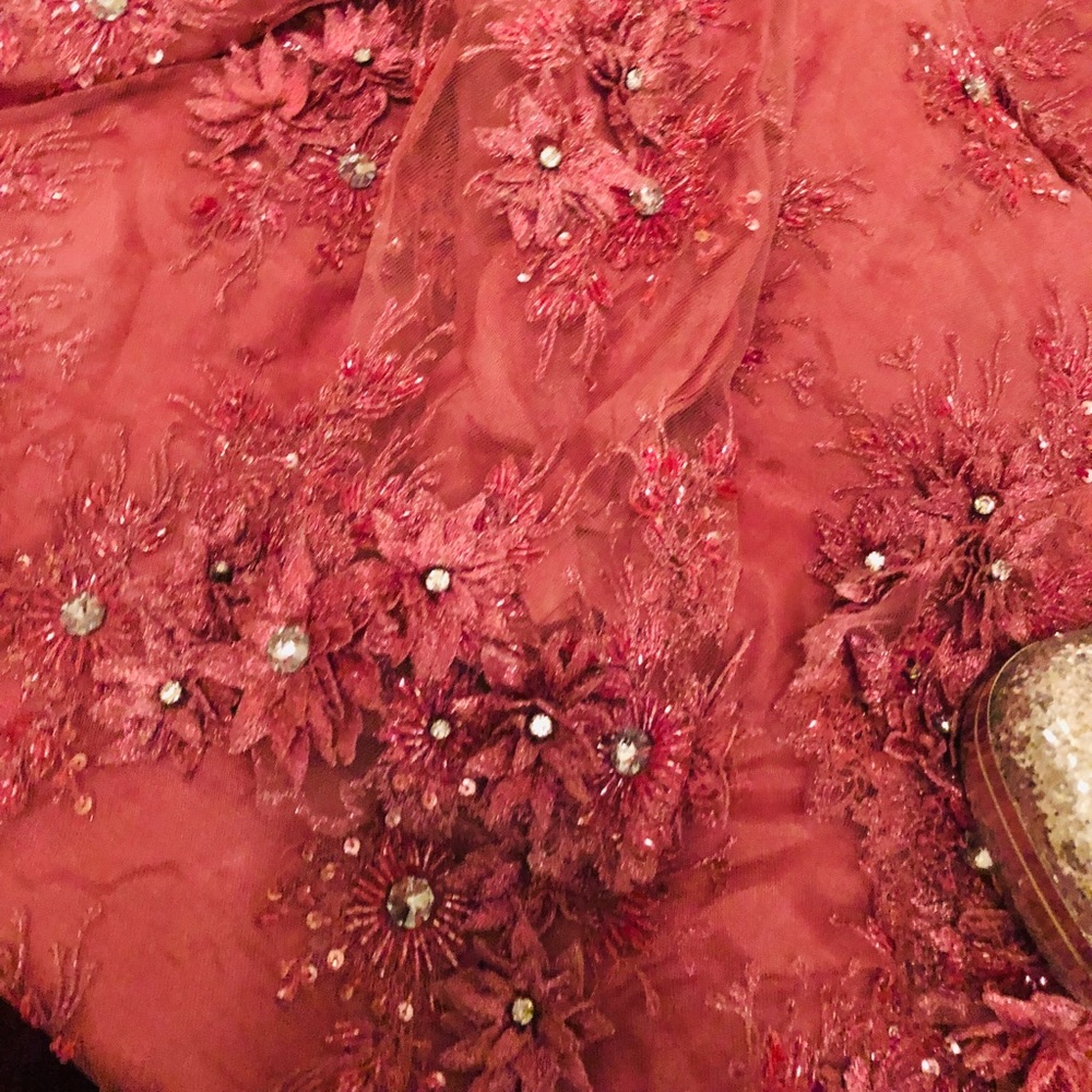 Absolutely gorgeous 3 piece Pakistani dress. - Picture 3 of 5